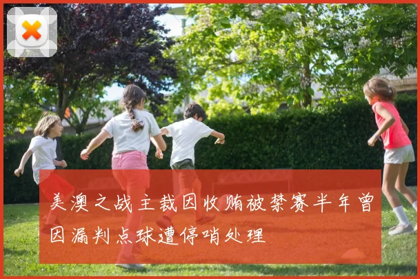 美澳之战主裁因收贿被禁赛半年曾因漏判点球遭停哨处理