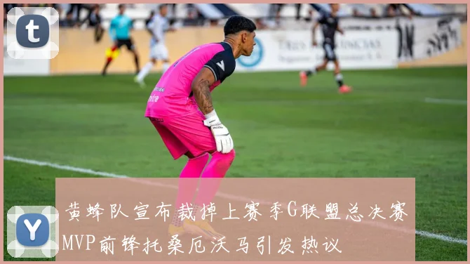 黄蜂队宣布裁掉上赛季G联盟总决赛MVP前锋托桑厄沃马引发热议
